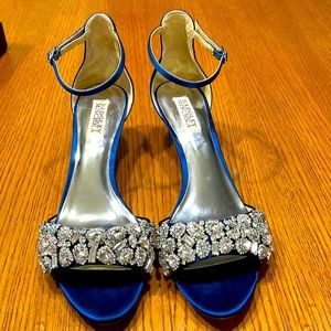 Royal Blue Badgley Mischka. Worn to one wedding.